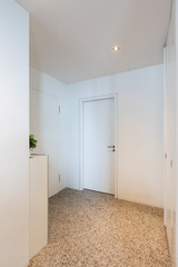 Modern house entrance with granite floor and closed doors