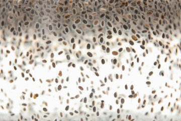 Chia seeds in water as background, closeup