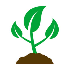 Icon of a young plant