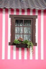 wooden window with flowers on a pink background