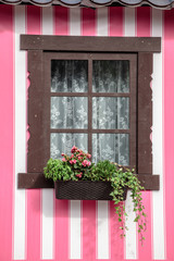 window with flowers on a pink background