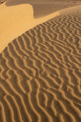 textures of the sand desert