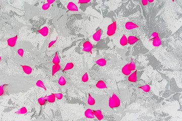 grey background with scattered petals
