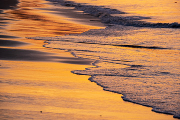 The golden beach in sunrise