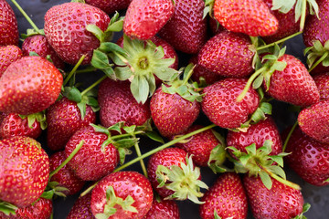 Close up of fresh natural strawberry fruit