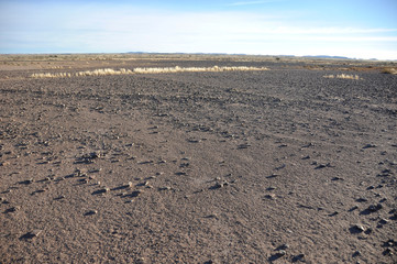 Namibia: Desert landscape at Etosha salt panels near Okaukuejo: