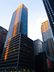Obraz premium skyscrapers in new york