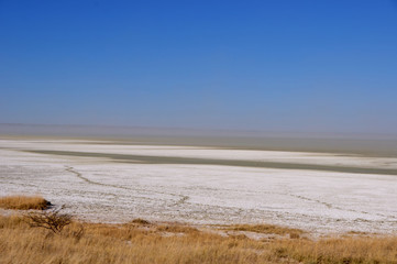 The Etosha Salt pans in the national park in Namibia