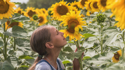 portrait of a beautiful teenage girl in a sunflower field