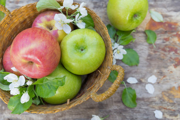 Fresh sweet juicy red and green apples with flowers on a wooden background