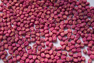 Special processing seeds on a white background. Dry pea seeds
