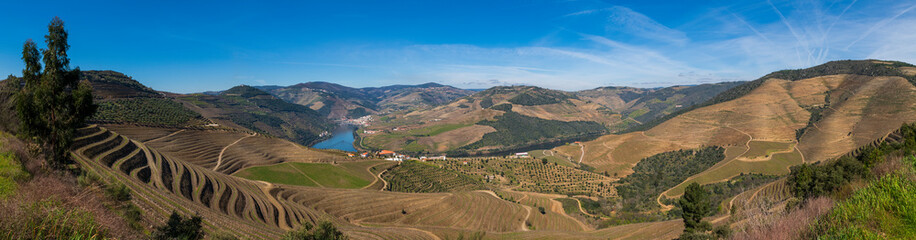 Naklejka premium Panoramic view of the Pinhao village with terraced vineyards and the Douro River, in Portugal; Concept for travel in Portugal and most beautiful places in Portugal