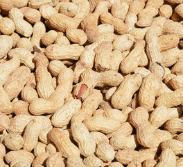 peanuts in the shell and background