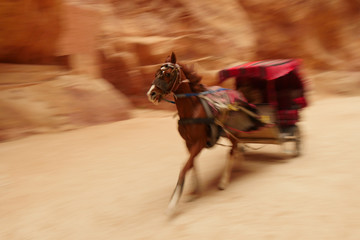 Pferdekutschen oder Kutschen im Siq in Petras Schlucht