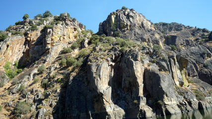 Montes