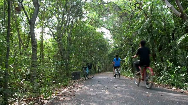 Asian people exercising by riding bicycles on the track in the lush green forest with fresh air and pollution free. Concept sport healthy lifestyle.