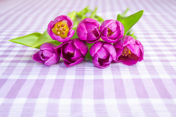 Obraz na płótnie Canvas Beautiful bouquet of purple tulips with green leaves on a checkered white purple textile background. Greeting card with copy space.