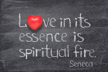 love essence Seneca