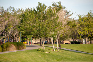 Sonata Park, Henderson, NV.