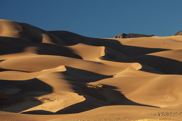 Beautiful sand dunes in the desert