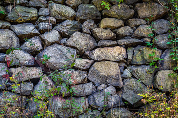 Outdoor nature. Old weatered and worn stone wall with green plants.