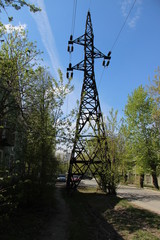 power line and street in summer