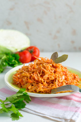 Homemade cabbage stew made from: cabbage, onion, carrot, celery and tomatoes.