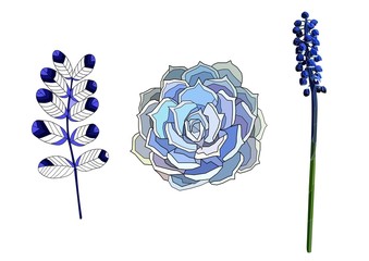 realistic beautiful vector art set with blue stone rose, acacia and muscari flower. Vintage and retro style