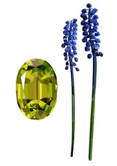 realistic vector art set with green diamond and muscari flower on a white background. Vintage and retro style.