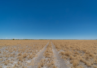 Namibia, landscape, road, desert