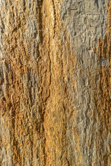 Obraz premium Natural slate with shades of golden and brown colours