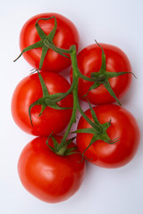tomatoes on a branch isolated on a white background