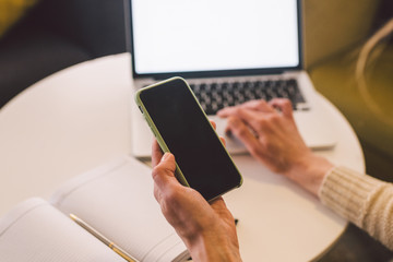 Young business female hands using smart phone while working on computer. Freelancer typing text message on her cellphone.