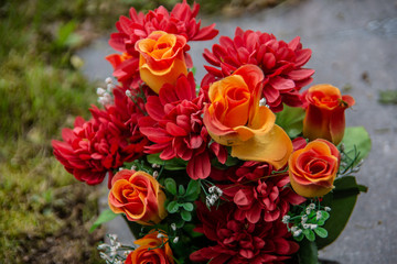 Rosen mit rot gelben Blüten