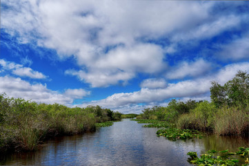 Fahrt durch die Everglades