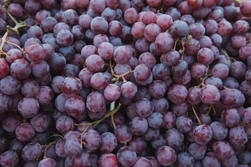 A lot of delicious grapes at the market. Organic and healthy. Fruit background.