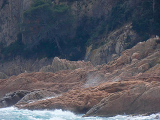 Olas rompiendo en la playa y surfistas esperando la Ola para cabalgarla