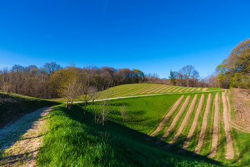 Landscape / Montello in Italy