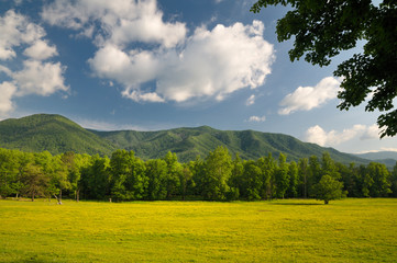 Fototapeta premium Smoky Mountains Cades Cove in Late Spring