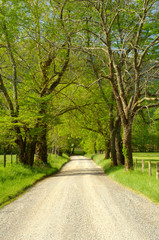 Fototapeta premium Sparks Lane in Cades Cove of Great Smoky Mountains, Tennessee, USA