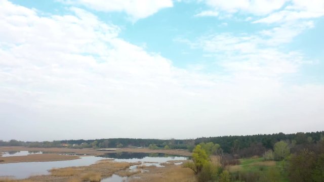 Aerial flying over beautiful early spring river landscape with dried canes, trees and cones forest. Sunrise time, panoramic video 4k.