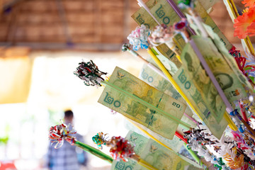Naklejka na ściany i meble Thai Buddhist make a merit with bank note in Songkran Festival. Songkran Festival is the traditional New Year celebration in Thailand.