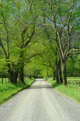 Sparks Lane in Cades Cove of Smoky Mountains, TN, USA.