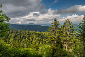 Great Smoky Mountains in the Appalachian Chain