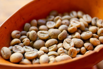 Fresh dried Robusta coffee beans in clay pot close up.