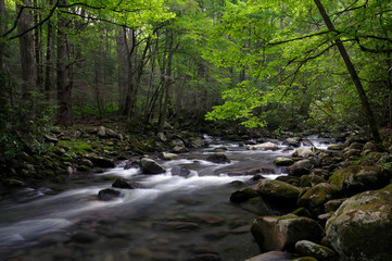Little Pigeon River in Greenbrier, Smoky Mountains, TN, USA