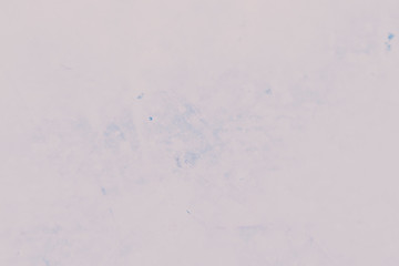 Light pink color stone and wood wall textures and background 