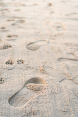 Footprints on sand close up, foot print on sand background.