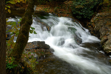 Cascades in Little Pigeon River at Great Smoky Mountains