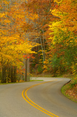 Little River Road in autumn, Smoky Mountains, TN, USA 